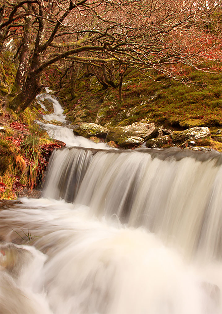 Small waterfalll in the Elan Valley
